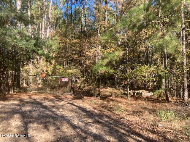 Land for sale in Evangeline, Louisiana