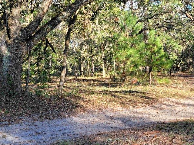 Land for sale in Perry, Florida