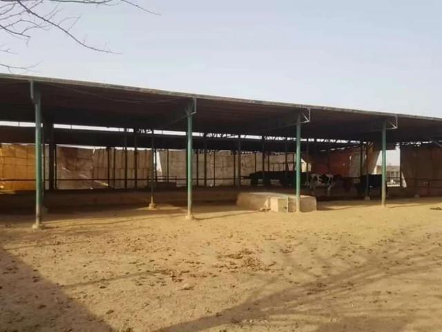 Land for sale in North Waziristan, Federally Administered Tribal Areas fata