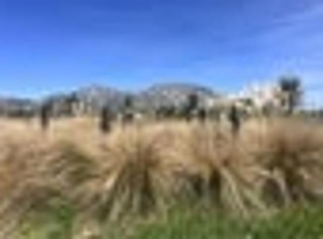 Land for sale in Athol, Southland