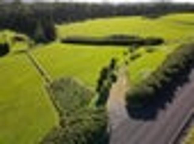 Land for sale in Karetu, Northland
