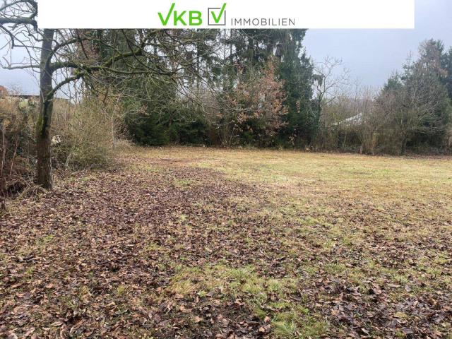 Immobilie kaufen in Alberndorf in der Riedmark, Oberösterreich