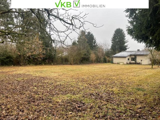 Grundstück kaufen in Alberndorf in der Riedmark, Oberösterreich