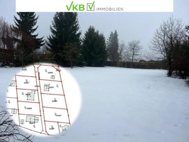 Immobilie kaufen in Alberndorf in der Riedmark, Oberösterreich