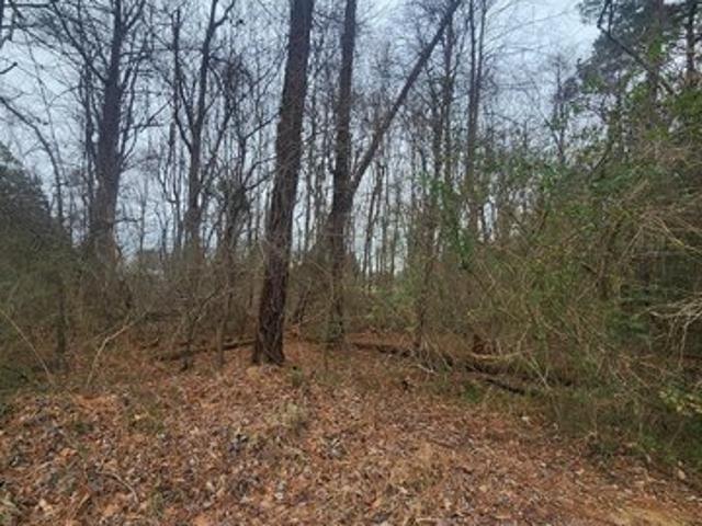 Land for sale in Virginia