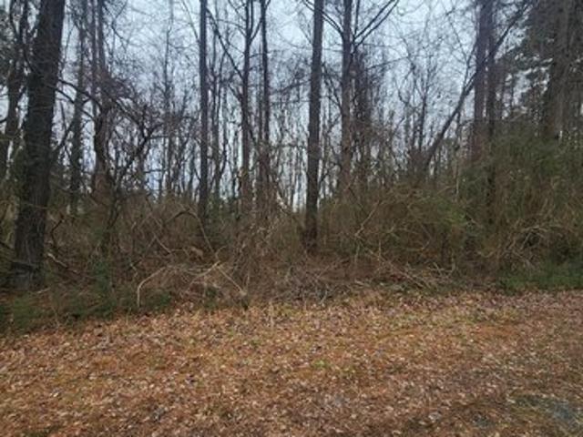 Land for sale in Virginia