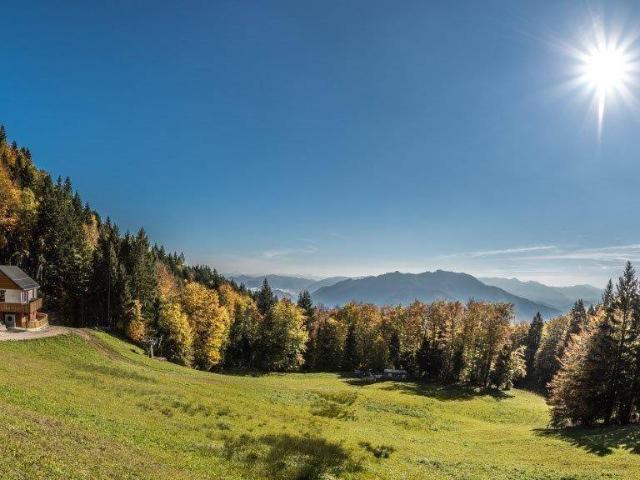 Haus kaufen in Reichraming, Oberösterreich
