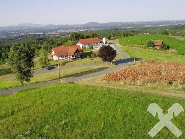 Haus kaufen in Mooskirchen, Steiermark