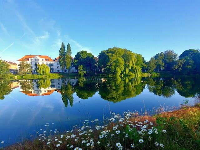 Lägenhet hyra i Gotland, Skåne