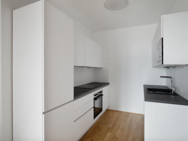 Apartment mieten in KG Simmering, Wien