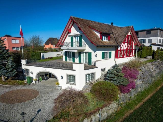 Einfamilienhaus kaufen in Wetzikon (ZH), Zürich