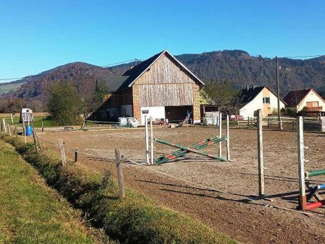 Haus kaufen in Brückl, Kärnten