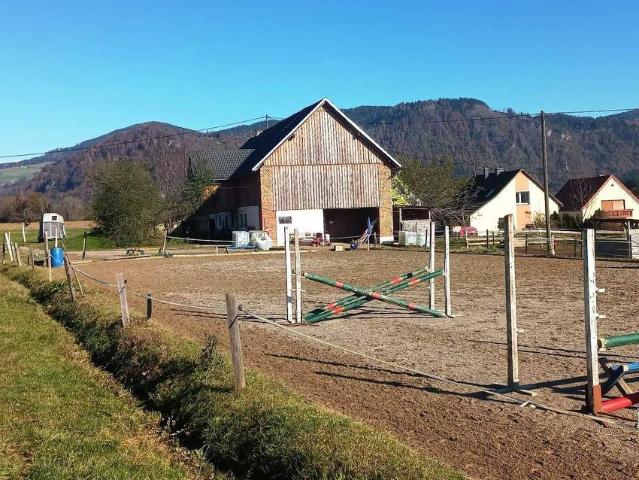 Haus kaufen in St. Pölten, Niederösterreich