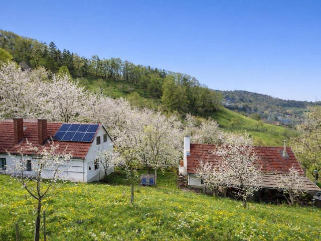 Haus kaufen in Thal, Steiermark
