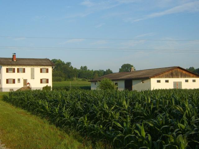 Landwirtschaft kaufen in Wettmannstätten, Steiermark