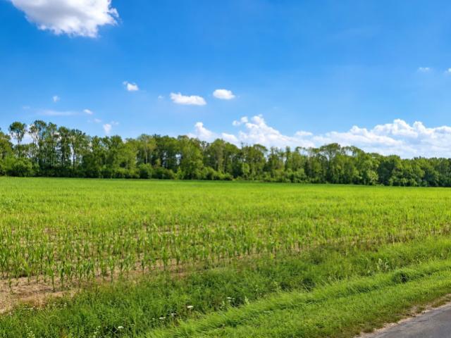 Erdgeschosswohnung kaufen in Neubeckum, Nordrhein-Westfalen