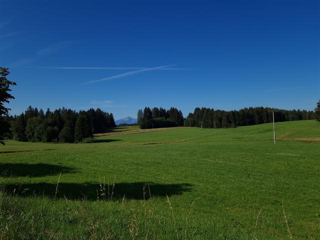 Erdgeschosswohnung kaufen in Bernbeuren, Bayern