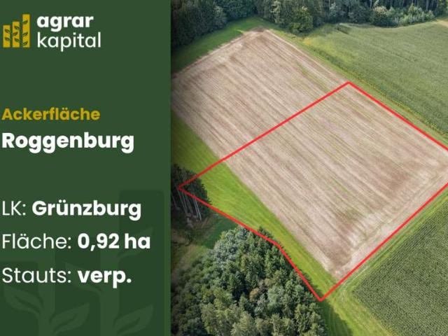 Erdgeschosswohnung kaufen in Roggenburg, Landkreis Neu-Ulm
