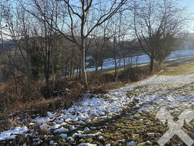 Grundstück kaufen in Jennersdorf, Burgenland