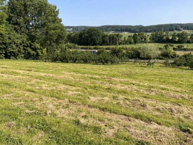 Landwirtschaft kaufen in Ilz, Steiermark