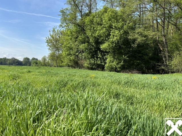 Grundstück kaufen in Mitterkirchen im Machland, Oberösterreich