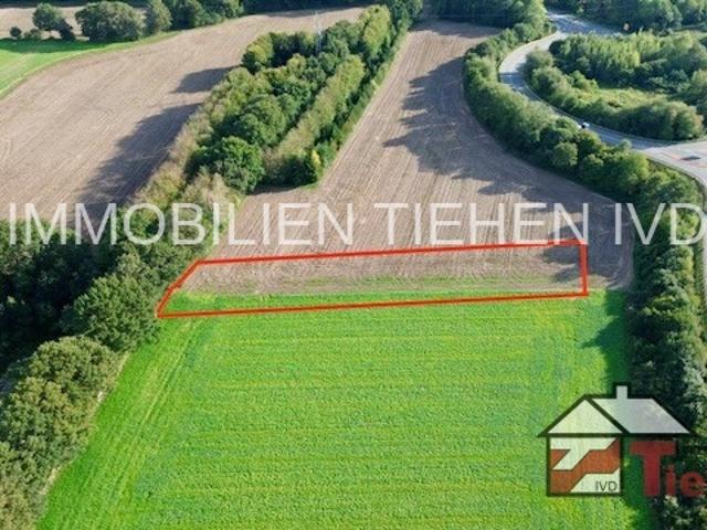 Landwirtschaft kaufen in Haselünne, Landkreis Emsland