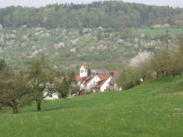 Erdgeschosswohnung kaufen in Lorch, Ostalbkreis