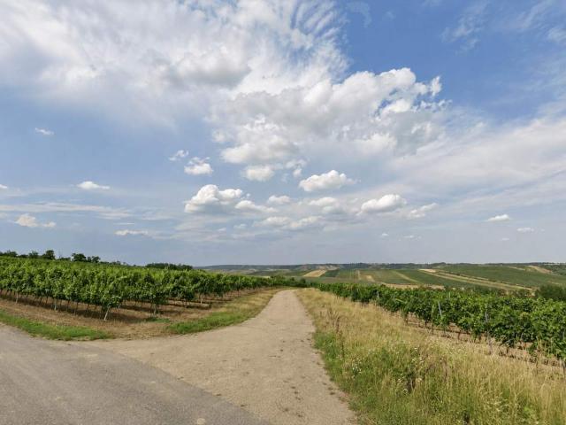 Gewerbe kaufen in Hollabrunn, Bezirk Hollabrunn