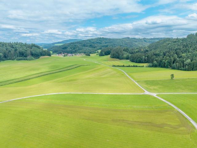 Landwirtschaft kaufen in Matzing, Neumarkt am Wallersee