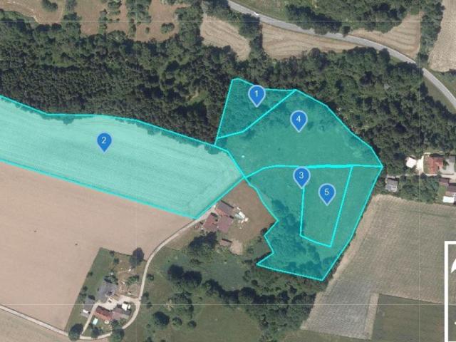 Grundstück kaufen in Grafenstein, Kärnten