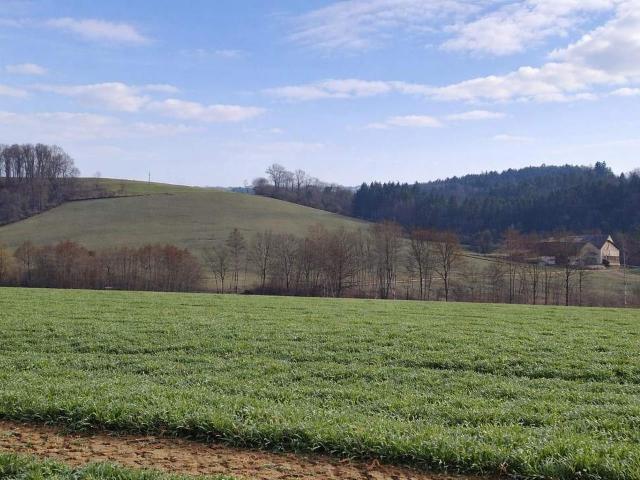 Gewerbe kaufen in Parz, Grieskirchen