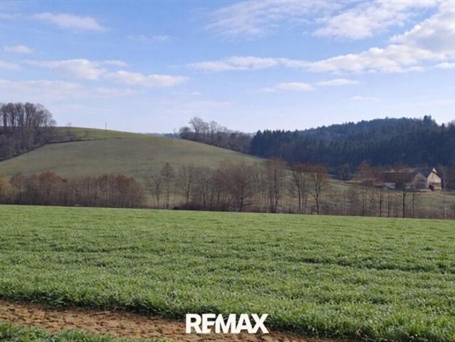 Landwirtschaft kaufen in St. Agatha, Oberösterreich