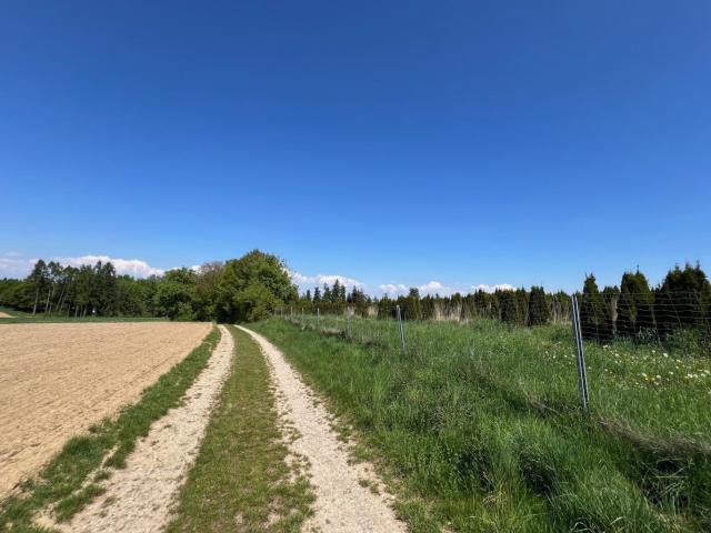 Landwirtschaft kaufen in Weißkirchen, Oberösterreich