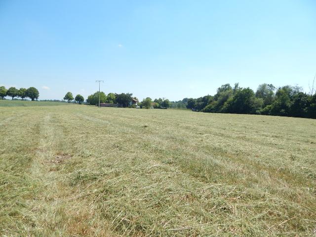 Landwirtschaft kaufen