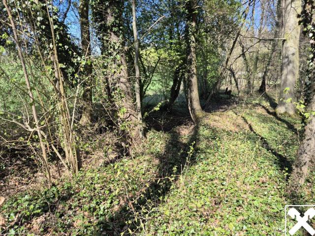 Grundstück kaufen in St. Peter am Hart, Oberösterreich
