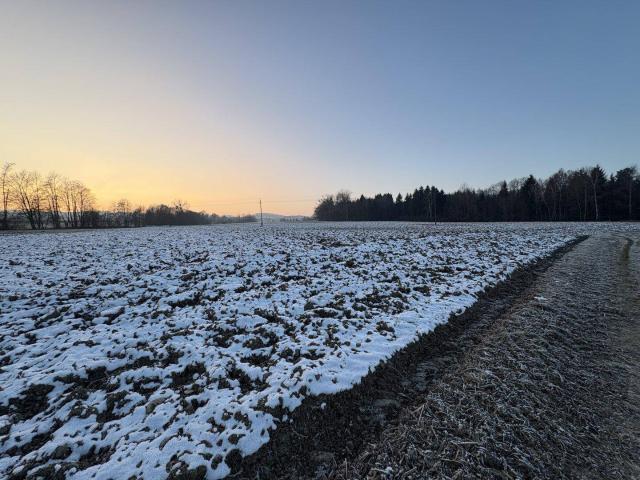 Immobilie kaufen in Taiskirchen im Innkreis, Oberösterreich