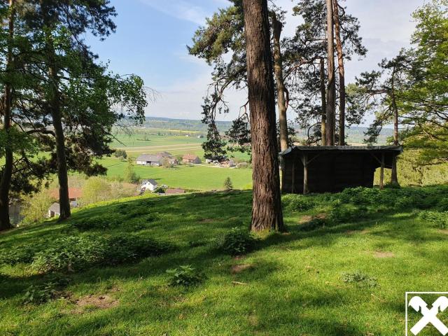Grundstück kaufen in Schalchen, Oberösterreich
