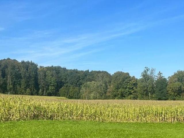 Landwirtschaft kaufen in Steyr, Oberösterreich