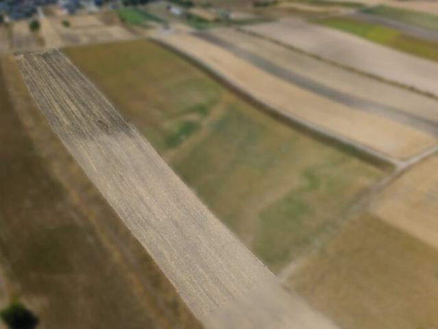 Immobilie kaufen in Auersthal, Niederösterreich