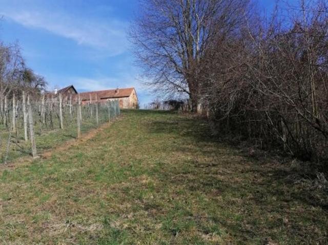 Landwirtschaft kaufen in Gnas, Steiermark