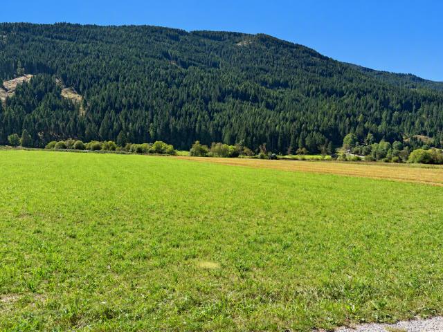 Landwirtschaft kaufen in Zallerhütte, Sankt Michael im Lungau