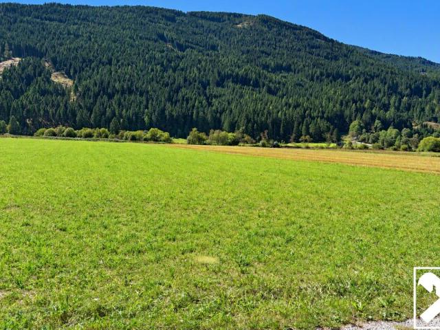 Grundstück kaufen in Sankt Martin, Sankt Michael im Lungau