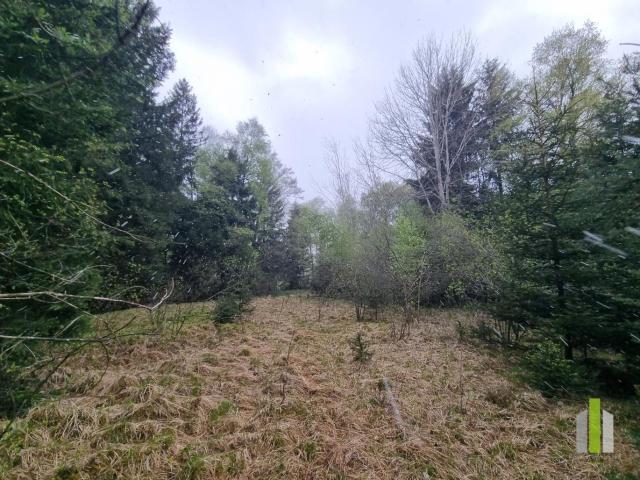 Grundstück kaufen in Obertrum, Salzburg