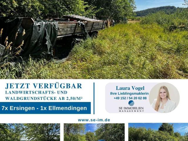 Erdgeschosswohnung kaufen in Ellmendingen, Enzkreis
