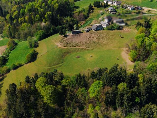 Landwirtschaft kaufen in Gamlitz, Steiermark