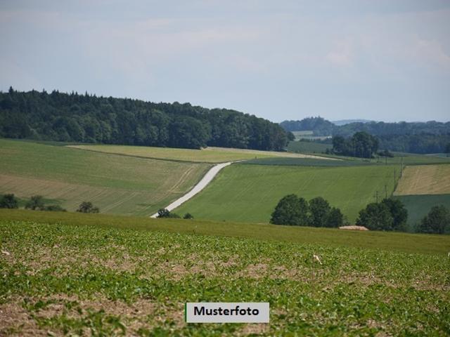 Erdgeschosswohnung kaufen in Höheischweiler, Rheinland-Pfalz