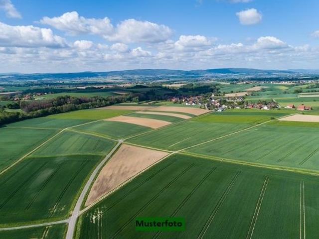 Grundstück kaufen in Wartmannstetten, Bezirk Neunkirchen
