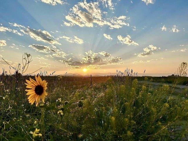 Land for sale in Wyoming