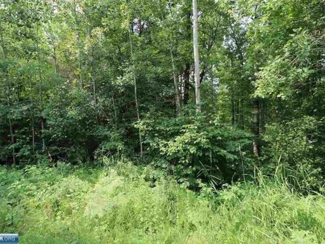 Land for sale in Aurora, Minnesota