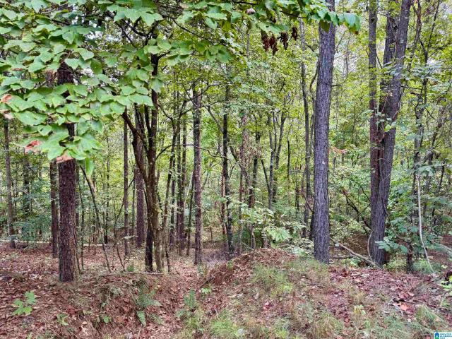 Land for sale in Wedowee, Randolph County